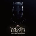 Black Panther: Wakanda Forever - Black Ice Vinyl - Black Ice Vinyl (Vinyl record): Various Artists