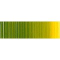 Holbein Duo-Aqua - Greenish Yellow Water Soluble Oil Colour (40ml)(Tube): 