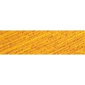 Williamsburg Oil Colour - Alizarin Yellow (37ml): 