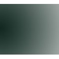 Talens Rembrandt Watercolour - Ivory Black (Half Pan): 