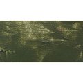 Gamblin Artist Oil Paint - Terre Verte (37ml): 