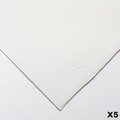 Fabriano Artistico Watercolour Paper - NOT Extra White (300gsm)(56x76cm)(5 Sheets) - 5 Sheets: 
