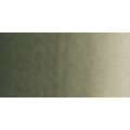 Old Holland Watercolour Paint (18ml)(Davy's Grey): 