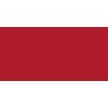 Speedball Professional Relief Ink (236.5ml)(Quinacridone Red): 