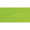 Williamsburg Oil Paint (150ml)(Cadmium Green Light): 