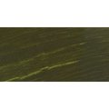 Williamsburg Oil Paint (150ml)(Earth Green): 