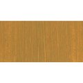 Jackson's Professional Oil Paint - Yellow Ochre (40ml): 