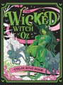 The Wicked Witch of Oz Colouring Book (Paperback): Tabreth