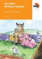 Via Afrika Afrikaans Huistaal Graad 2 Grootboek 3 - Huistaal (Afrikaans, Paperback): Johan van Lill