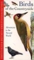 Birds of the Countryside (Spiral bound): 