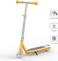 Pantha Sport CDE-HF8-O 3.5" E-Scooter (Orange): 