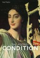 Condition - The Ageing of Art (Paperback): Paul Taylor