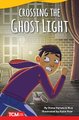 Crossing the Ghost Light (Paperback): Dona Rice