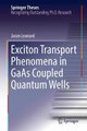 Exciton Transport Phenomena in GaAs Coupled Quantum Wells (Hardcover, 1st ed. 2018): Jason Leonard