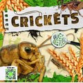 Crickets (Hardcover): William Anthony