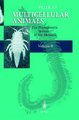 Multicellular Animals - Volume II: The Phylogenetic System of the Metazoa (Hardcover, 2000 ed.): S. Kinsey