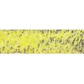 Caran D Ache Pastel Pencil - Chinese Green: 