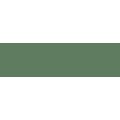 Derwent Pastel Pencil - Olive Green: 