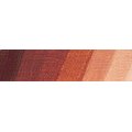 Schmincke Mussini Oil - Natural Burnt Sienna (35ml): 