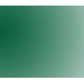 Talens Rembrandt Watercolour - Viridian (Half Pan): 