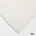 Arches Aquarelle Watercolour Paper (Hot Pressed)(300gsm)(22x30 inches)(56X76cm)(5 Sheets): 