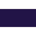Speedball Professional Relief Ink (236.5ml)(Dioxazine Violet): 