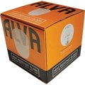 Alva Replacement Glass Chimney for 100CP Mini Canister Lamp: 