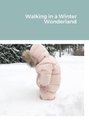 Walking in a Winter Wonderland (Hardcover): William Smith