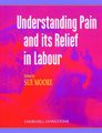 Understanding Pain and Its Relief in Labour (Paperback): Sue Moore