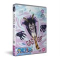 One Piece: Collection 25 (DVD): Hiroaki Miyamoto