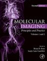 Molecular Imaging - Principles and Practice (Hardcover, 2nd edition): Brian D. Ross, Sanjiv S. Gambhir
