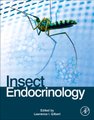 Insect Endocrinology (Hardcover): Lawrence I. Gilbert