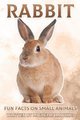 Rabbit - Fun Facts on Small Animals #1 (Paperback): Michelle Hawkins