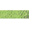 Caran D Ache Pastel Pencil - Light Olive 20 Percent: 