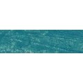 Williamsburg Oil Colour - Cobalt Turquoise Greenish (37ml): 