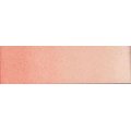 Old Holland Watercolour - Flesh Tint (6ml): 