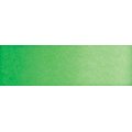 Old Holland Watercolour - Bright Green (half Pan): 