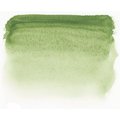 Sennelier S1 Watercolour - Green Earth (Full Pan): 