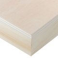Ampersand Artist Panel - Unprimed Basswood Panel - Cradled 22mm - 8x8in: 