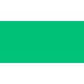 Copic Ciao Twin-Tipped Marker (Emerald Green G05): 