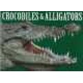 Crocodiles and Alligators (Hardcover): Simon Seymour
