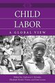 Child Labor - A Global View (Hardcover, New): Cathryne L. Schmitz, Elizabeth K. Collardey, Desi Larson
