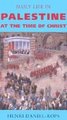 Daily Life in Palestine at the Time of Christ (Paperback): Henri Daniel-Rops