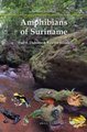 Amphibians of Suriname (Hardcover): Paul E. Ouboter, Rawien Jairam