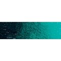 Old Holland New Masters Acrylic Paint Pot - Phthalo Green Blue Shade (250ml): 