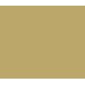 Caran Dache Classic Neocolor I - Ochre: 