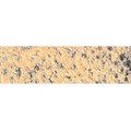 Caran D Ache Pastel Pencil - Light Flesh 10 Percent: 