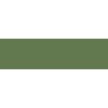 Derwent Inktense Block - Fern (1560): 