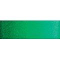 Old Holland Watercolour - Scheveningen Green (6ml): 