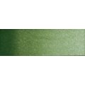 Old Holland Watercolour - Chromium Oxide Green (half Pan): 